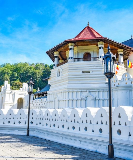 Sri Lanka Classic & Scenic Tour