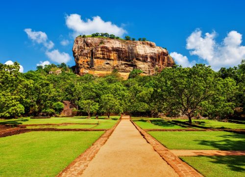 Sigiriya & Dambulla One-Day Tour