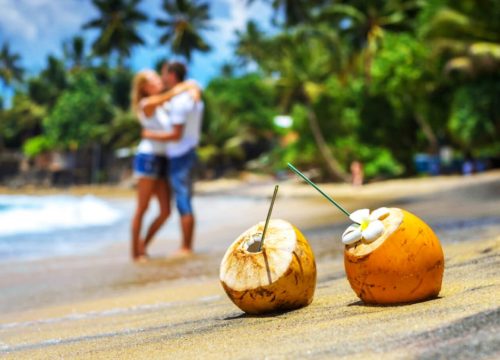12 Days / 11 Nights – Sri Lanka Cultural, Scenic & Wildlife Experience
